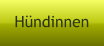 Hndinnen