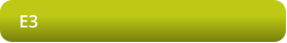 E3