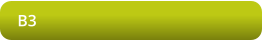 B3