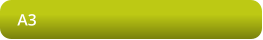 A3
