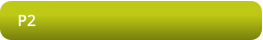 P2