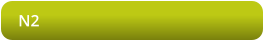 N2