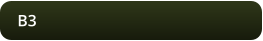 B3