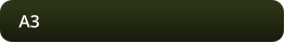 A3