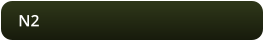 N2