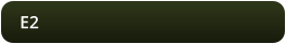 E2